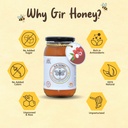 GIR HONEY LYCHEE Organic Raw Honey | NMR Tested 100% Raw & Pure Honey | Unprocessed, Unpasteurized, Unheated & Unadulterated | 500gm Jar